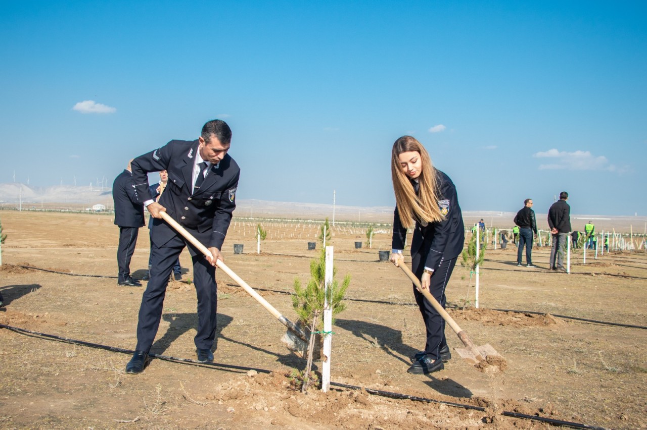 Zəfər Günü ilə əlaqədar ağacəkmə aksiyası keçirildi - FOTOLAR